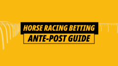 Horse Racing Antepost Betting Guide: How to build a winning portfolio